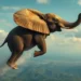 The flying elephant memoirs of an olympic champion